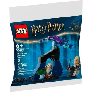 30677 Draco in the Forbidden Forest