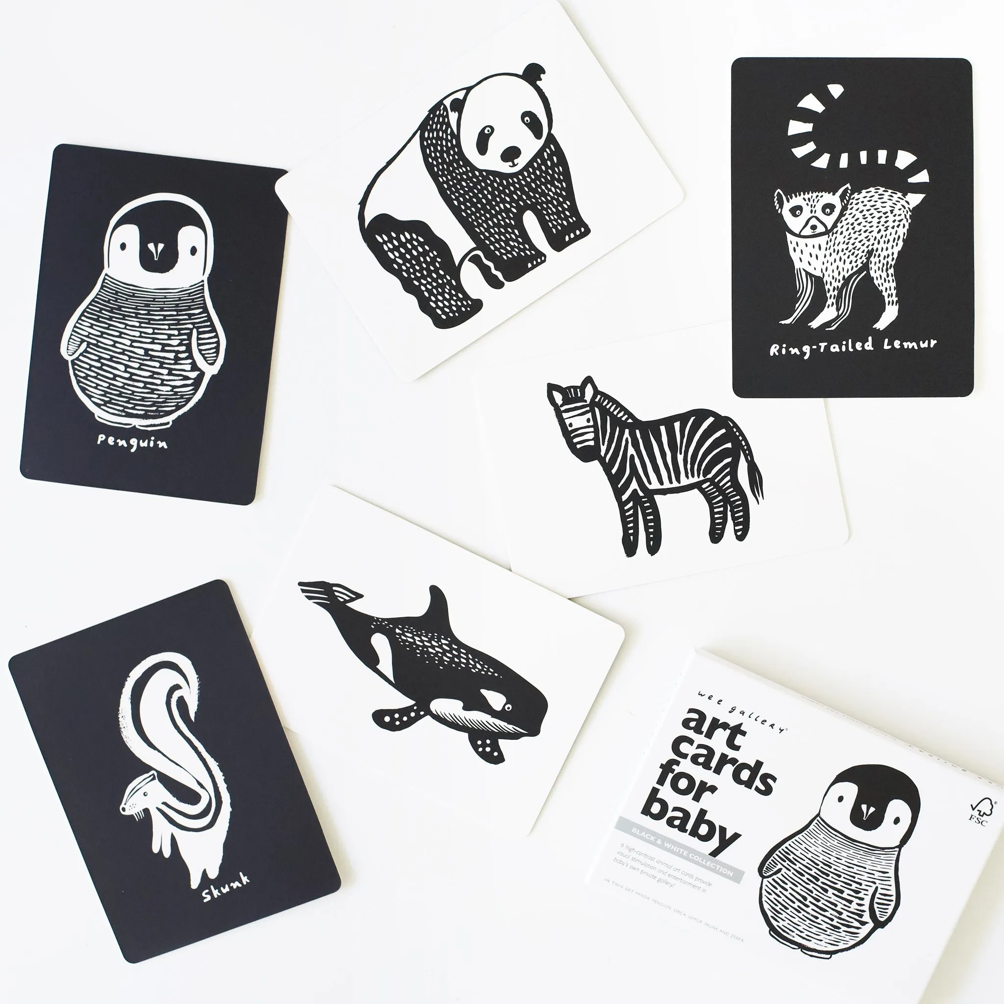 Little Naturalist Gift Set - Black   White