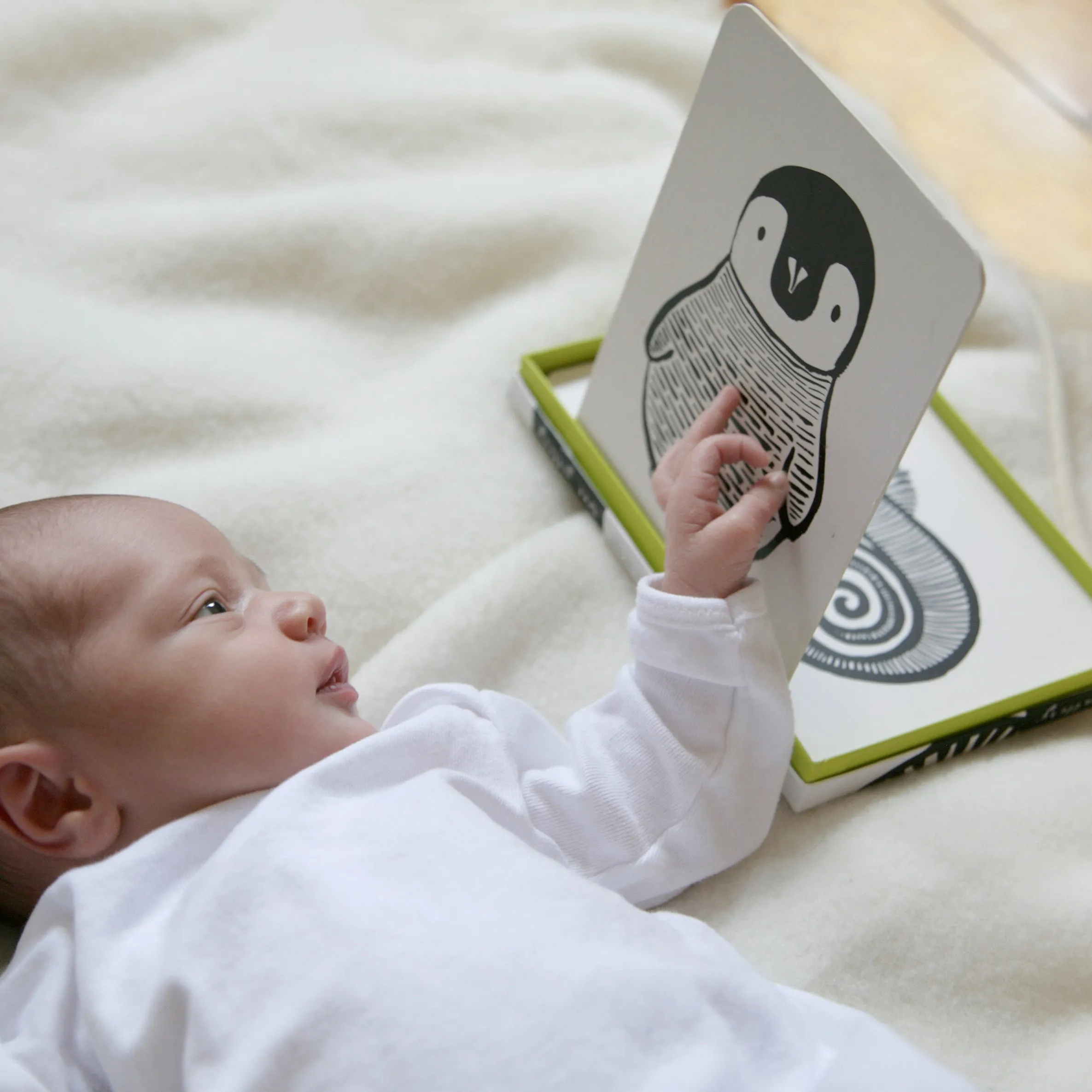 Little Naturalist Gift Set - Black   White