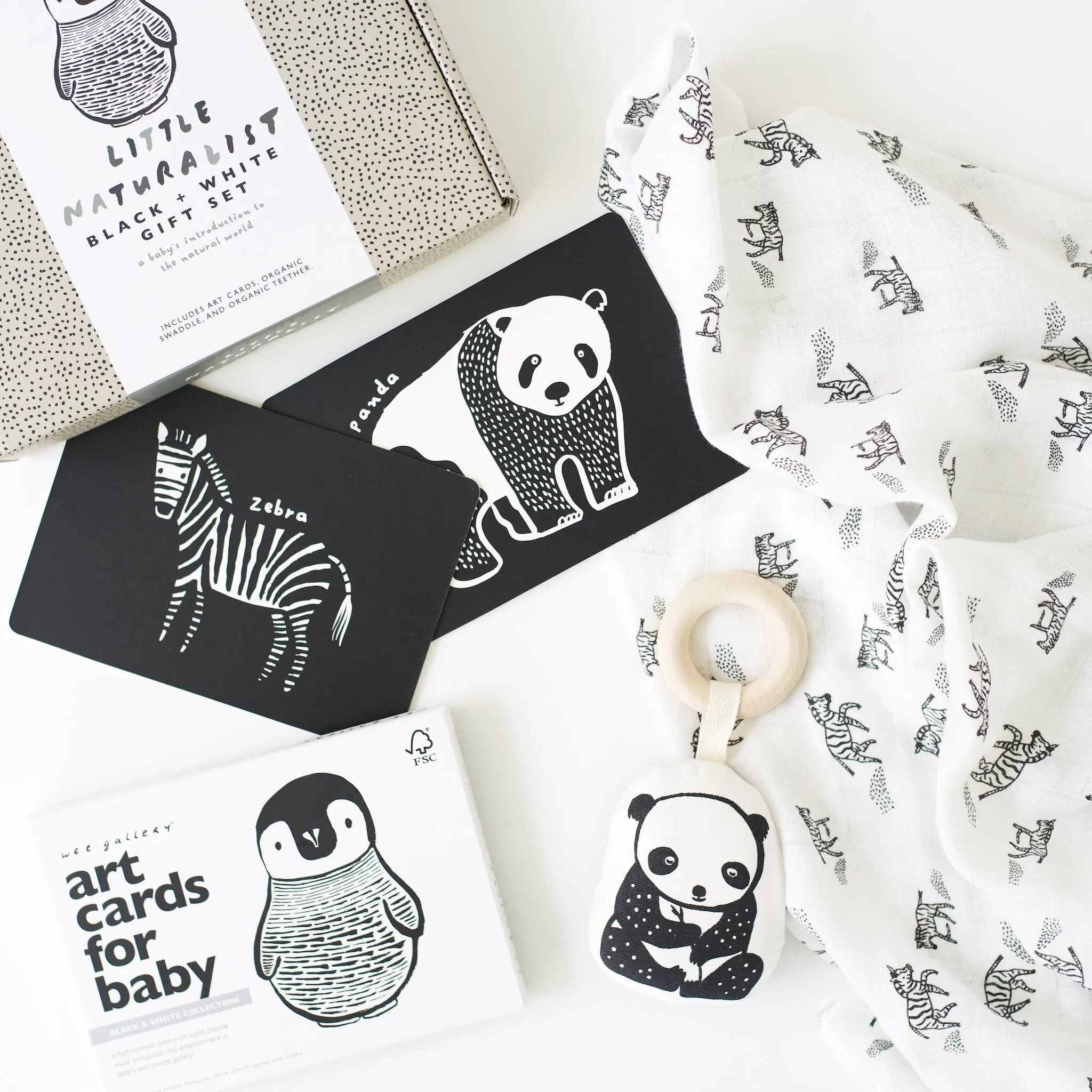Little Naturalist Gift Set - Black   White