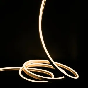 Warm White Neon Flex 220V 240V Wireless 8x16mm 120LEDs/m IP65 Waterproof with UK Plug